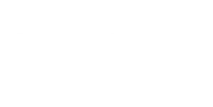 zoom logo blanco
